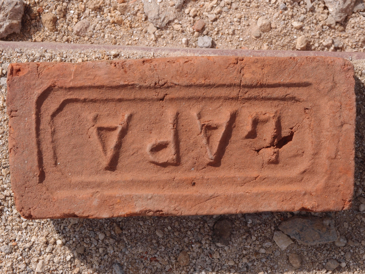 2018-01-16 12 Uhr - Im Shivapuri Nagarjun National Park (Nagi Gumba) (Foto) 